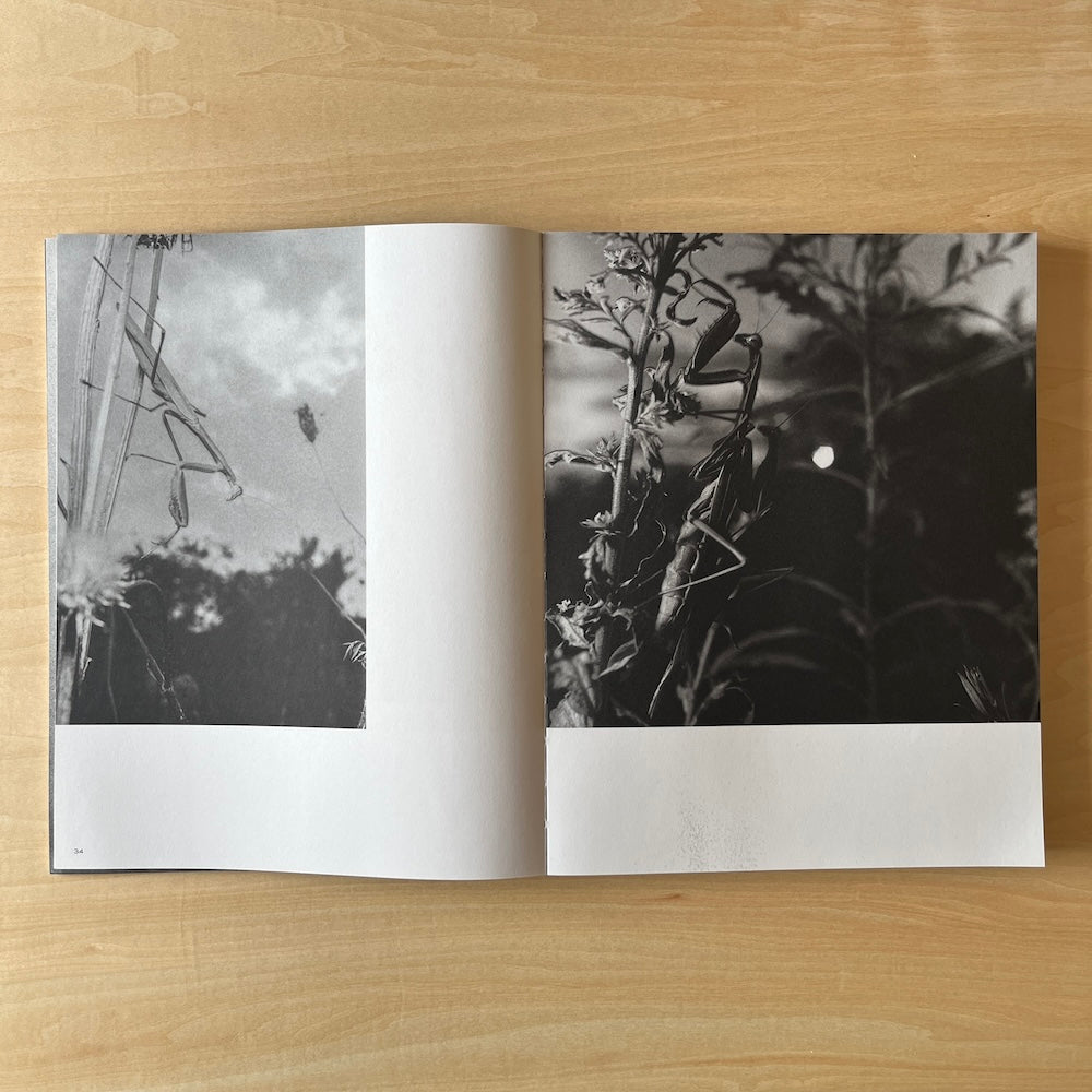 A MAGAZINE CURATED BY LUCIE AND LUKE MEIER